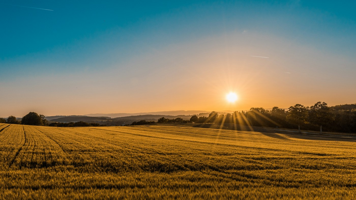 Potato fields at sunset — potato.institute research farm