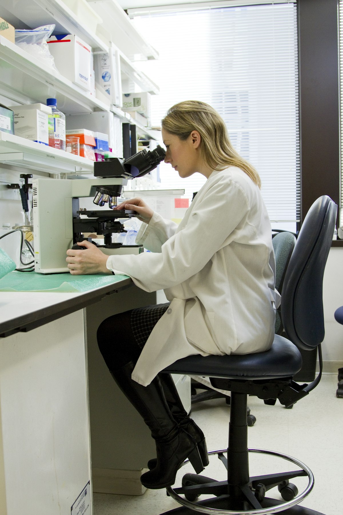 Modern agricultural laboratory