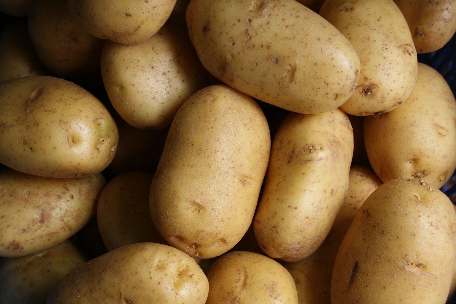 Iptv De Portugal — potato.institute